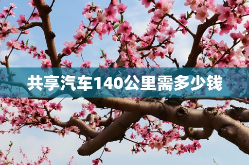 共享汽车140公里需多少钱