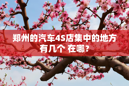 郑州的汽车4S店集中的地方有几个 在哪？