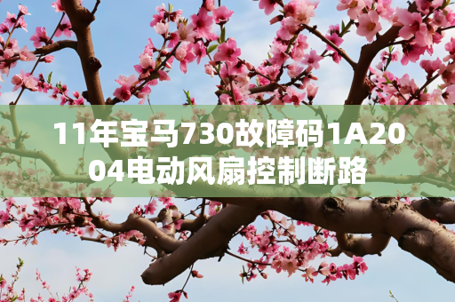 11年宝马730故障码1A2004电动风扇控制断路
