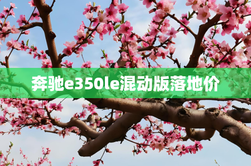 奔驰e350le混动版落地价