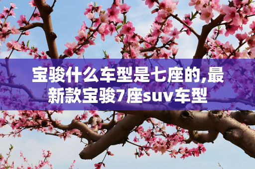宝骏什么车型是七座的,最新款宝骏7座suv车型