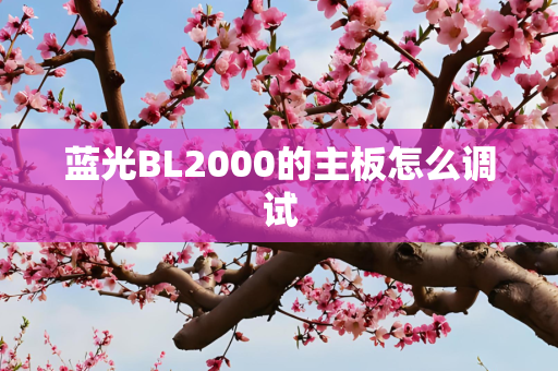 蓝光BL2000的主板怎么调试