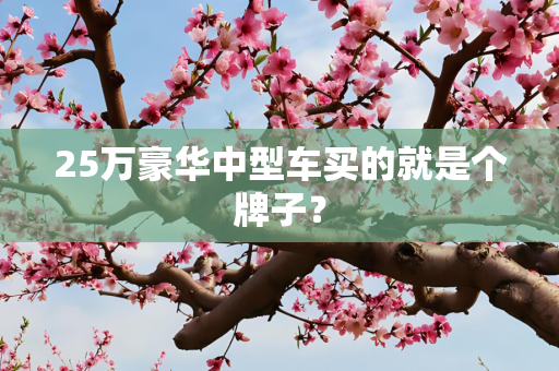 25万豪华中型车买的就是个牌子？