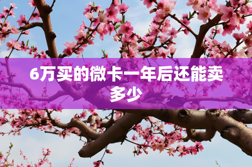 6万买的微卡一年后还能卖多少