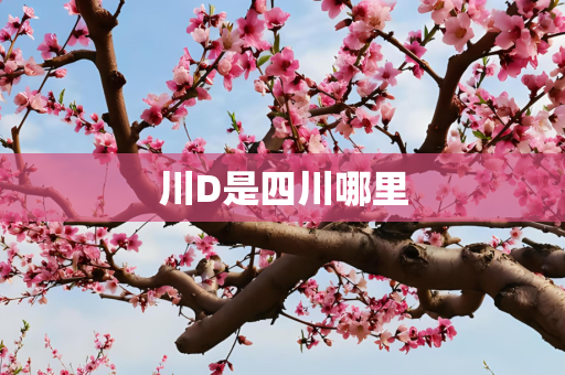川D是四川哪里