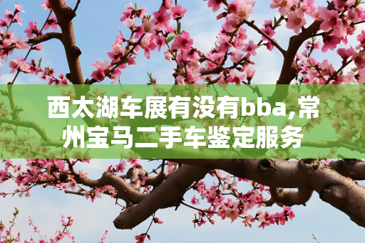 西太湖车展有没有bba,常州宝马二手车鉴定服务