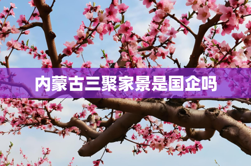 内蒙古三聚家景是国企吗