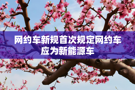 网约车新规首次规定网约车应为新能源车