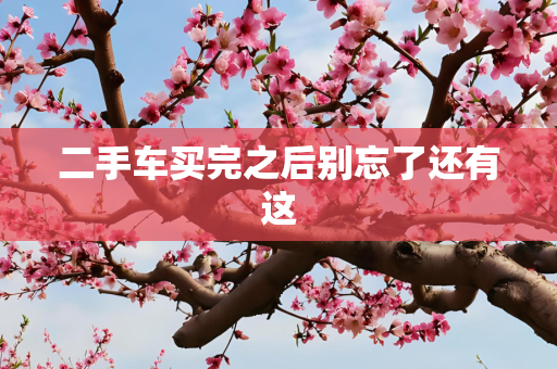 二手车买完之后别忘了还有这