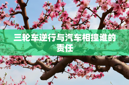 第561页