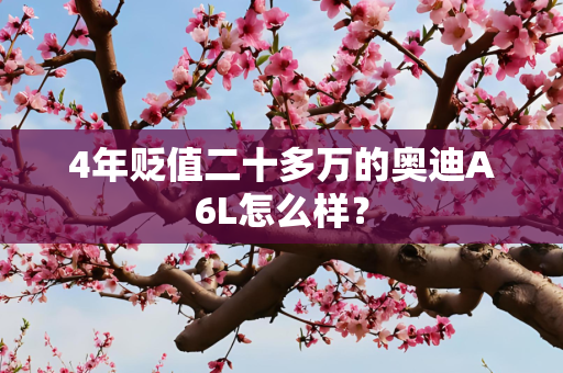 4年贬值二十多万的奥迪A6L怎么样？