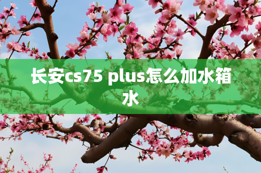 长安cs75 plus怎么加水箱水