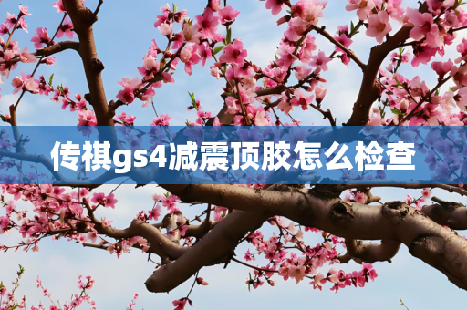 第560页