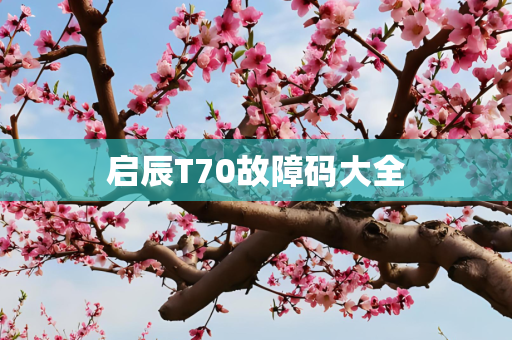 启辰T70故障码大全