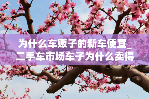 为什么车贩子的新车便宜_二手车市场车子为什么卖得那么快
