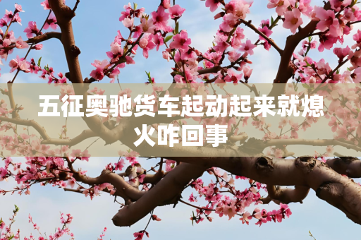 五征奥驰货车起动起来就熄火咋回事