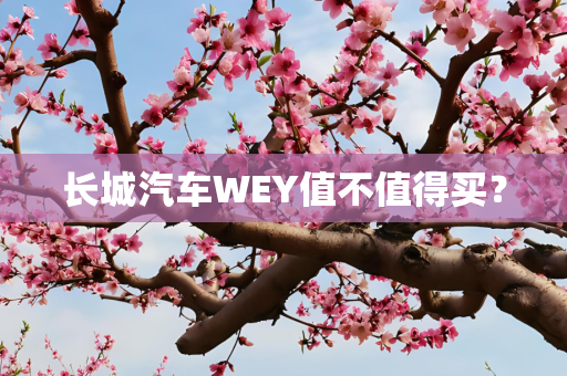 长城汽车WEY值不值得买？