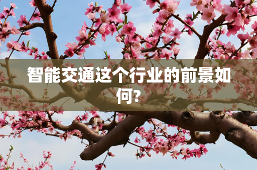 智能交通这个行业的前景如何?