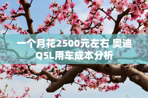 一个月花2500元左右 奥迪Q5L用车成本分析