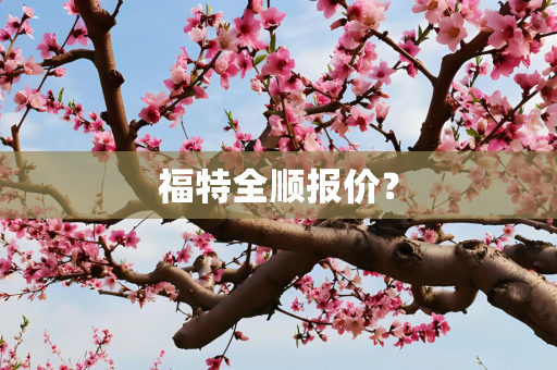 福特全顺报价？