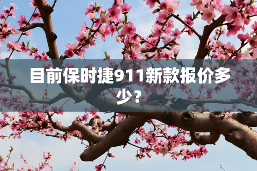 目前保时捷911新款报价多少？