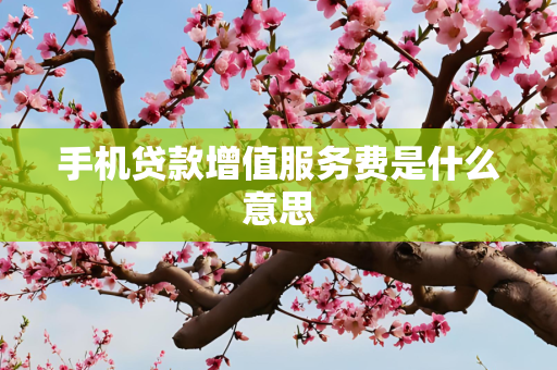 手机贷款增值服务费是什么意思