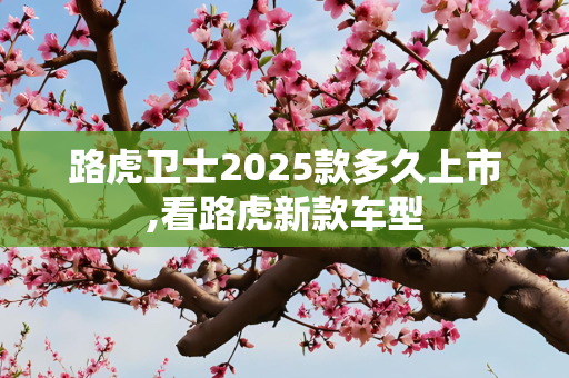 路虎卫士2025款多久上市,看路虎新款车型