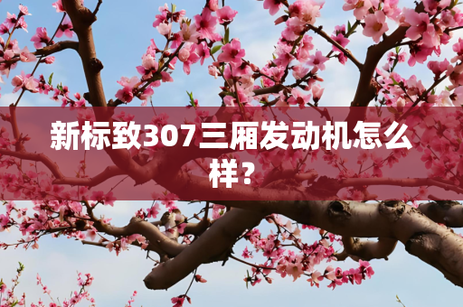 新标致307三厢发动机怎么样？
