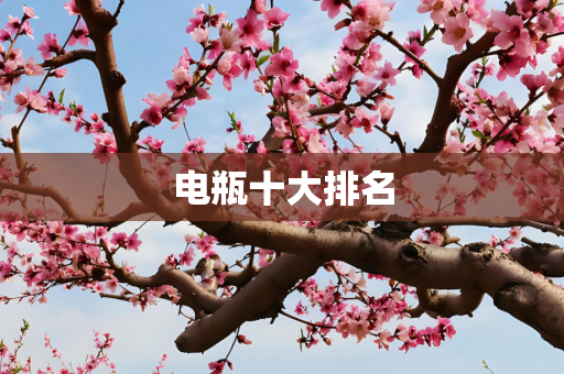 电瓶十大排名