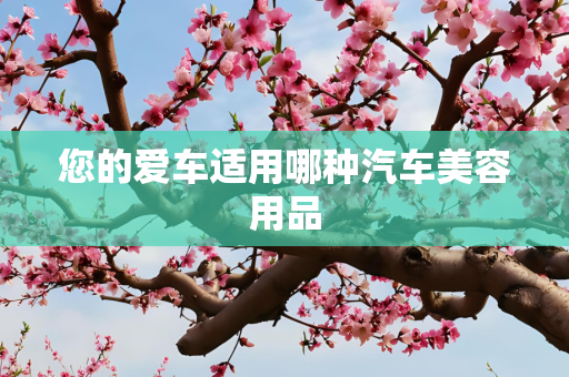 您的爱车适用哪种汽车美容用品