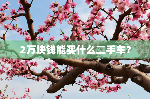 2万块钱能买什么二手车？