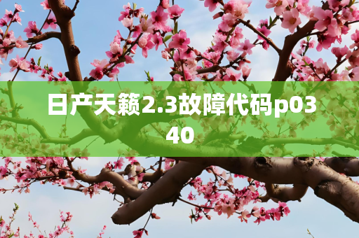 日产天籁2.3故障代码p0340