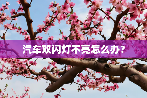 汽车双闪灯不亮怎么办？