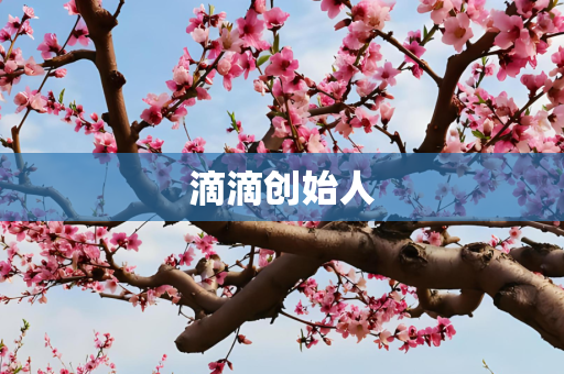 滴滴创始人