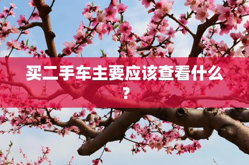 国际 第265页