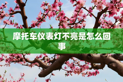 摩托车仪表灯不亮是怎么回事