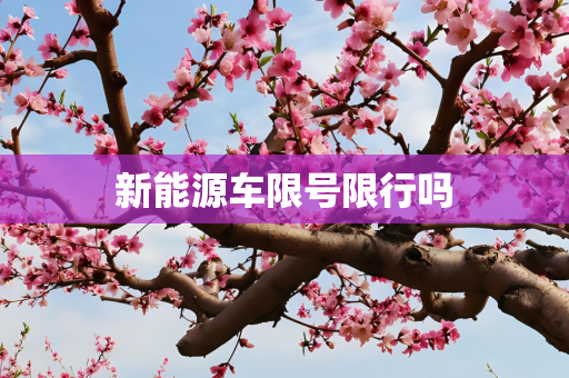 新能源车限号限行吗