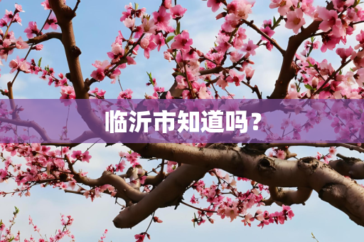 临沂市知道吗？