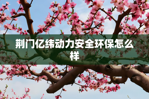 荆门亿纬动力安全环保怎么样