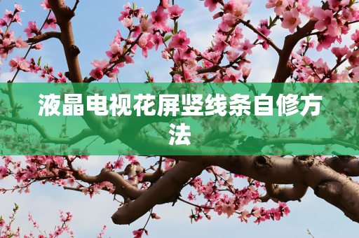 液晶电视花屏竖线条自修方法
