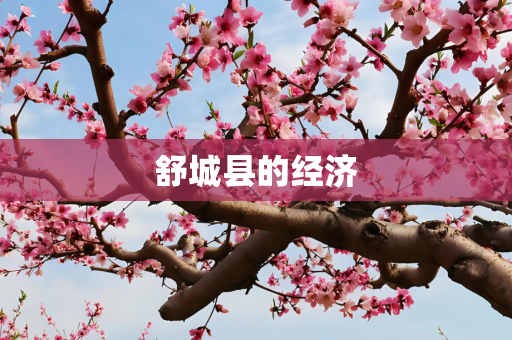舒城县的经济