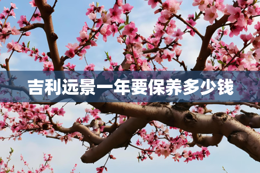 吉利远景一年要保养多少钱