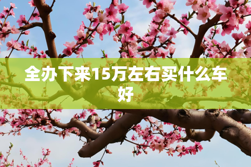 全办下来15万左右买什么车好