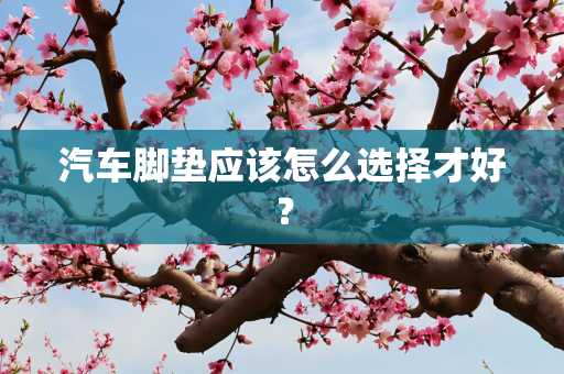 汽车脚垫应该怎么选择才好？