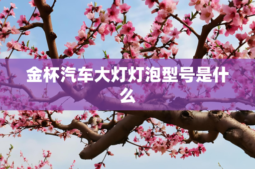 金杯汽车大灯灯泡型号是什么