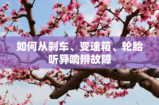 如何从刹车、变速箱、轮胎听异响辨故障