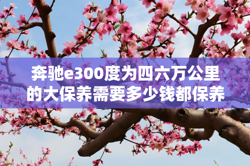 奔驰e300度为四六万公里的大保养需要多少钱都保养什么