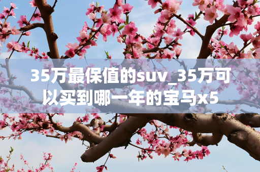 35万最保值的suv_35万可以买到哪一年的宝马x5