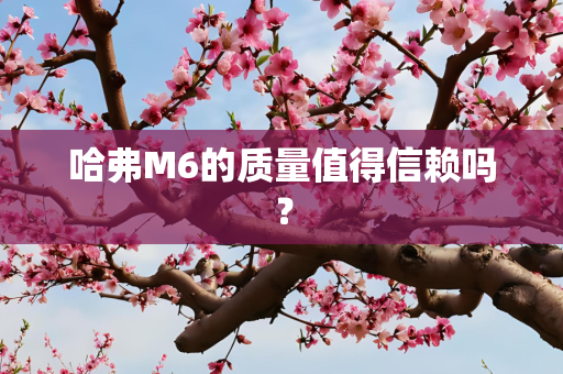 哈弗M6的质量值得信赖吗？