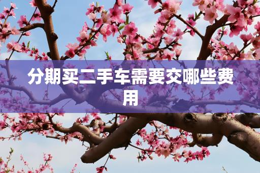 信息 第257页